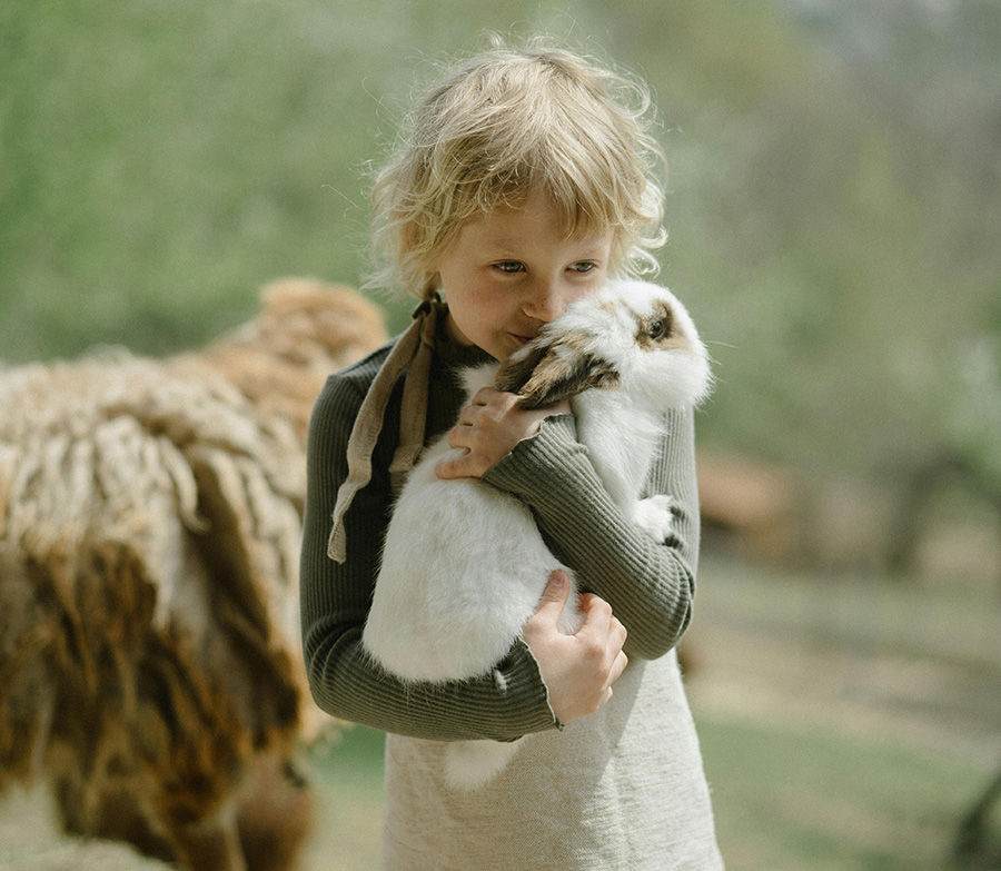 Animal Encounters camp image
